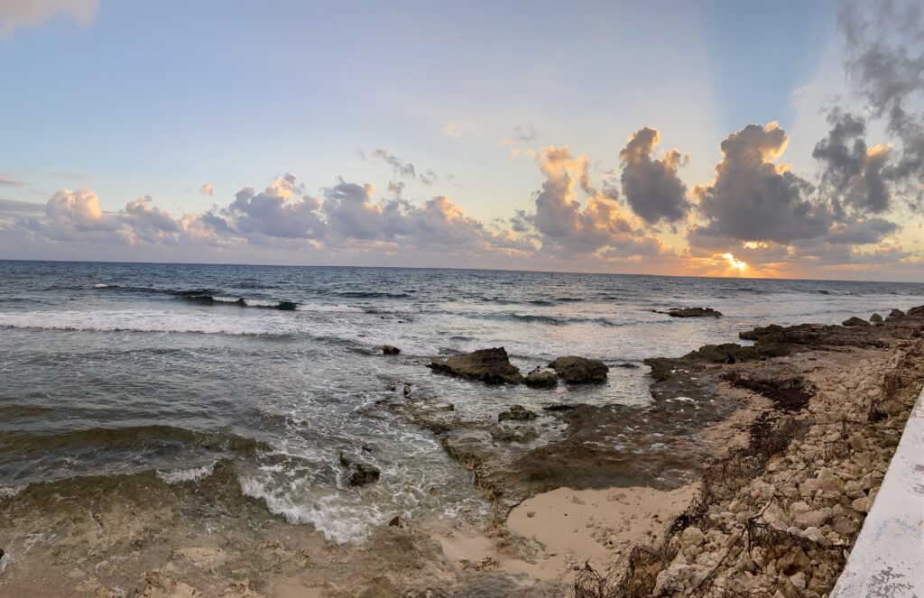 Nature and other Loves