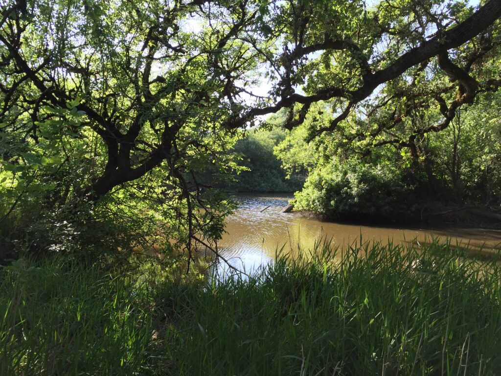 Nature and other Loves